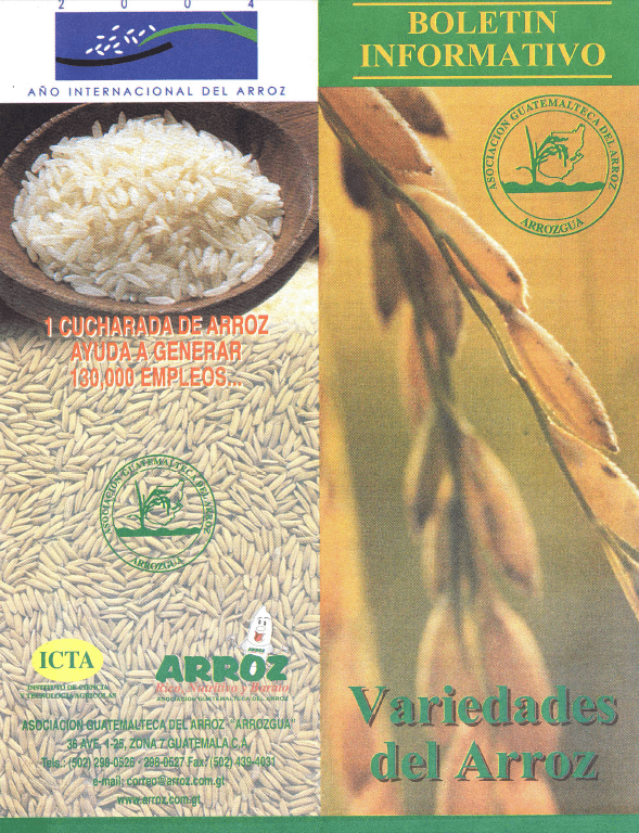 Variedades del arroz (2004)